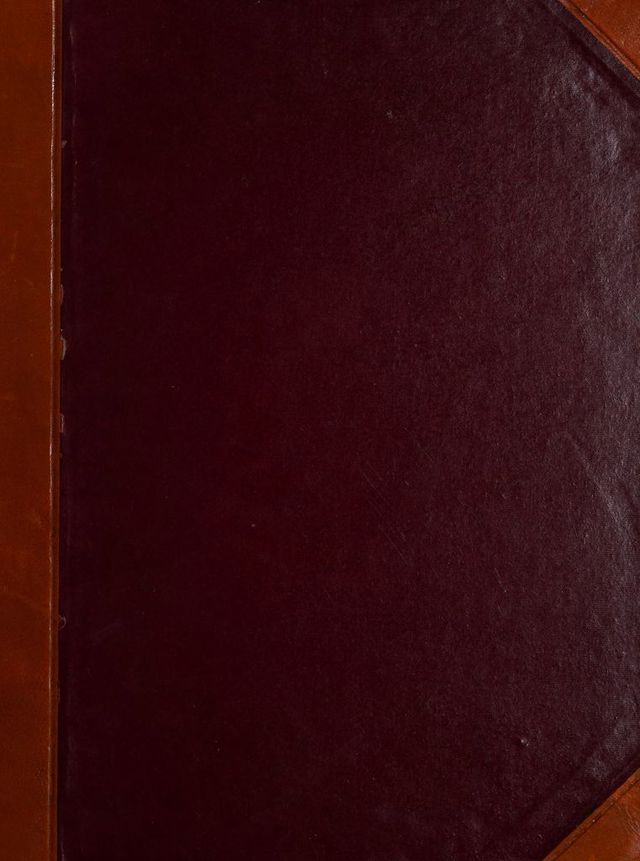 digitised image 1