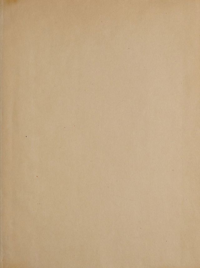 digitised image 3