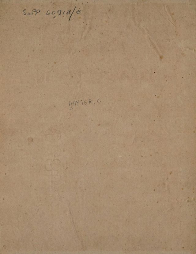 digitised image 2