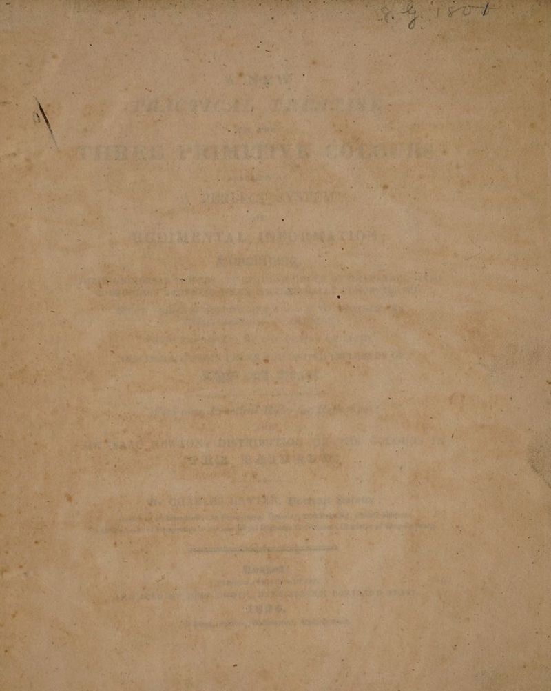 are Bs uN v * i A aN Aes a He te: Kgs 7 5 Beatneey , his aN a ctype *, Fetes Tignes ARS a “A, gg ny ay est init id ; sae ; : ae ae tier Pe er dias) HF ee vp tiga yer mare fama ah OF 2 oe is wok ee Cast Re hae vr chon yD Di. Maik eid : ye ve Rte ty om} aa i