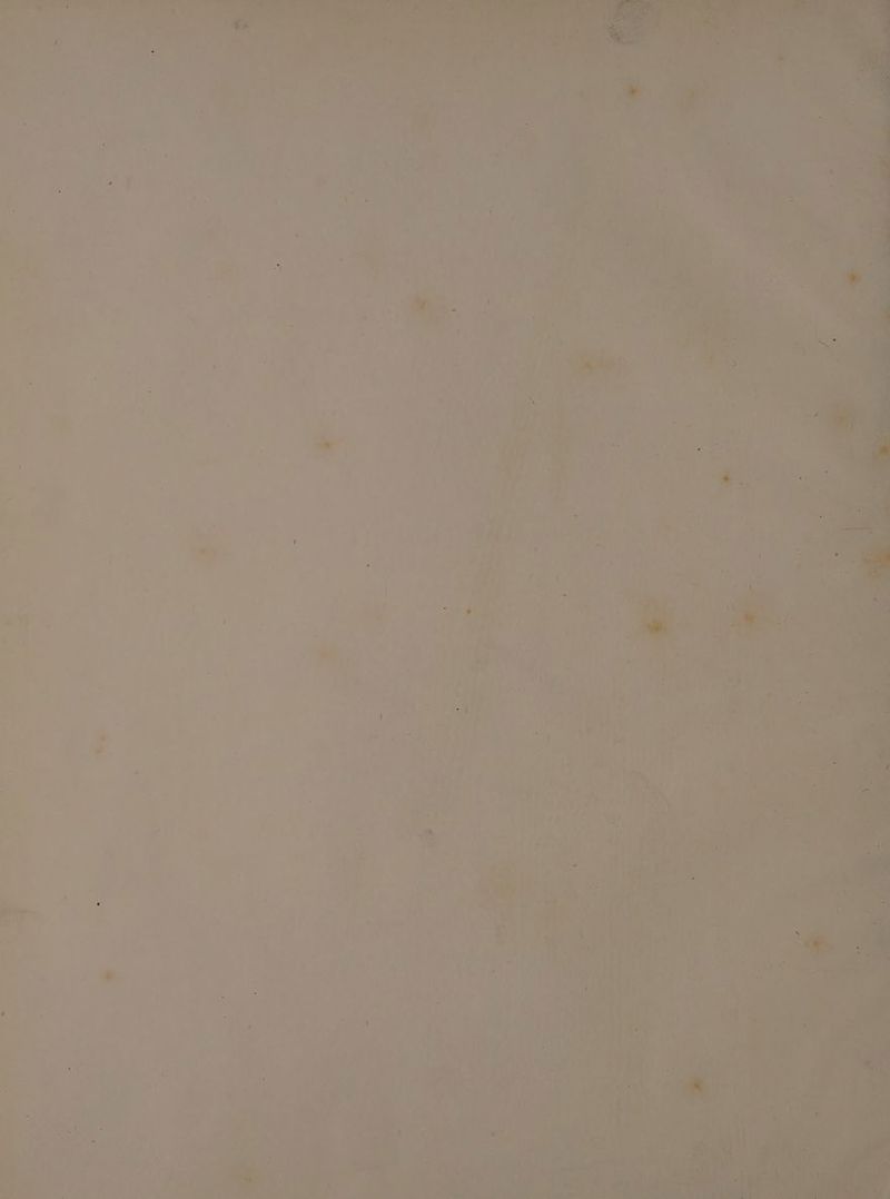 al See 6 F yh ' ahaa ny ¥,