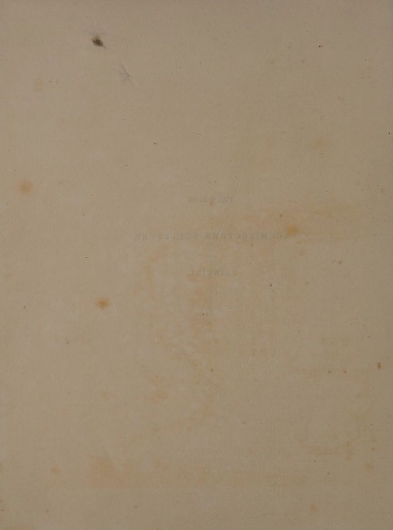 et ® . ih Ao ; Pe ew h Be