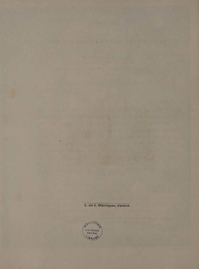 ciNt , A : whew Kh Biel ge tye al v4 ny a ty A 5