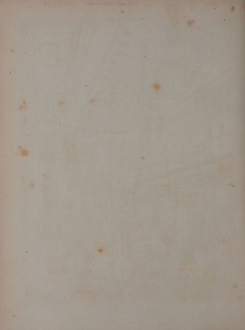 we a . ee 2 - ’ Ah oe r ean Ew <> ~ F Ti - ie gee f Pt sty: