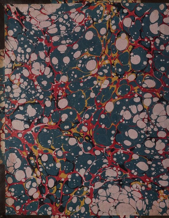 No text description is available for this image