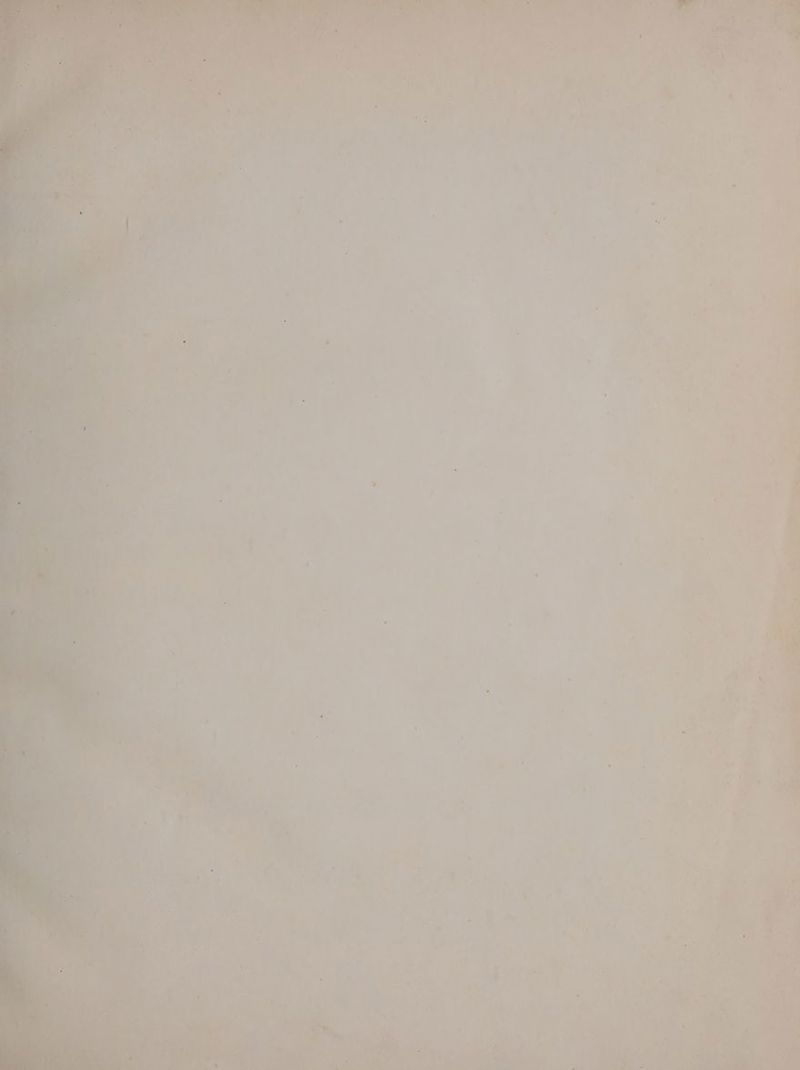 vs * _ ot onal . ae: * bl . =) e oa \ i Gace f re , ‘ 5 . ee Te . {#ites 2 ‘ us ; ‘oF <e + re} 2 ' s = . . ’ , . . ‘ * . ’ . ‘ « t . p ° ‘ ‘ ‘ \ : at ' i ' . - ! .. Js . ” ’ y <- : f On ru ‘ee, eg ed ‘ fe si) “nt ya, Avy anise. ee Bey wit ath af ey a) ows 2m St ae | oo {See aiaaay a a