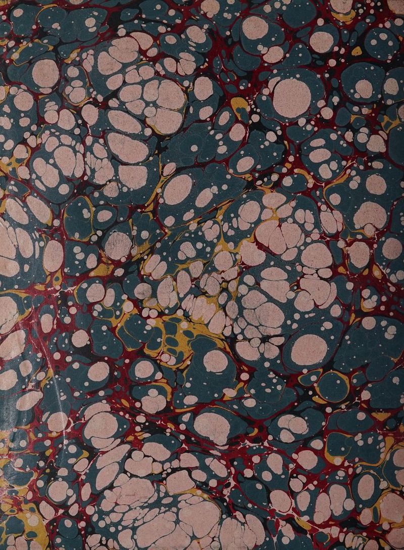 No text description is available for this image