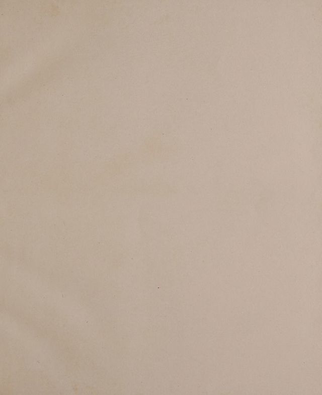 digitised image 3