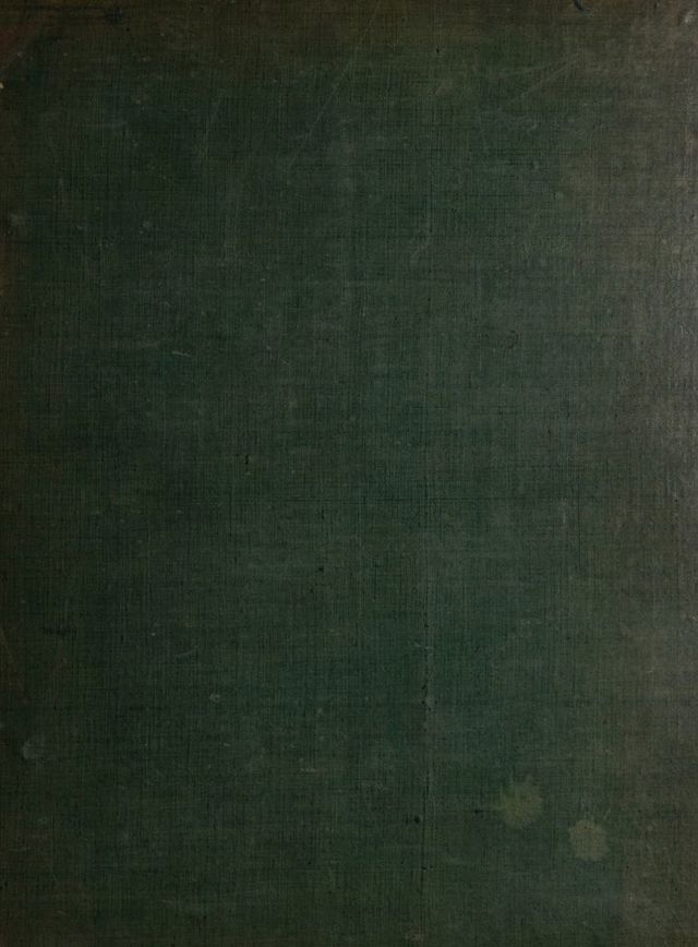 digitised image 1