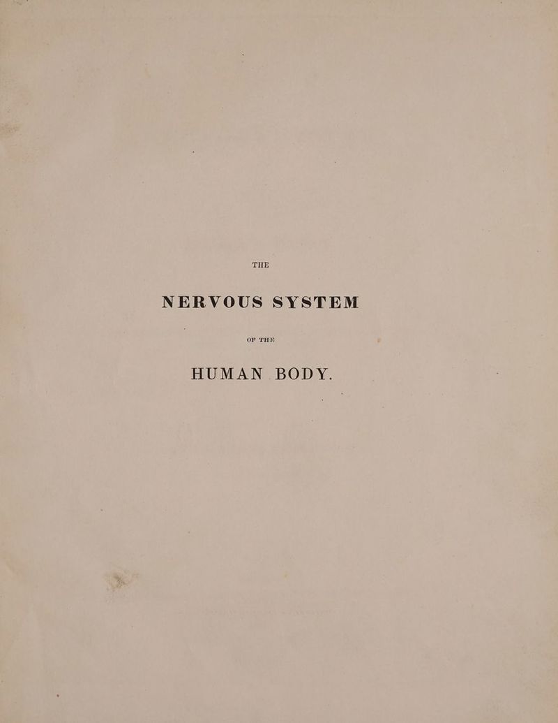 THE NERVOUS SYSTEM HUMAN BODY.
