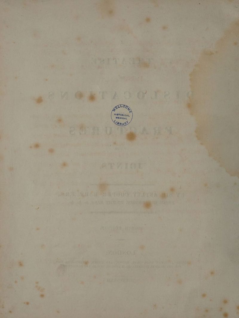 Puget VOT AOE Te. -_° 7 * eg wt “TOK i ae a % +1 ~~ as g “ke eid Fe IP Ae . , d J - or fi . ‘ ~ min ts ri ; ; 7 “ff “eh oP ALA art a \ at ACV “ Aes, . ao : = : ion gpa eB ato wile eee. a +) ° J « aan f - é ~~. ah ‘ Ke ; : ae Yc th MOUEOM erate. . ne tet a 7 ae AODKOS, ee ae 4 fi MRD spags Fs oe MIIRO ans “MR Oo. ae Rie, aot ae Fe i kee SOL sad hse: she date ott ind > j : <2 4 ee rath ; Su ee «rs iM c ’ 4 ce ae -s e- ay. Ke vie I eae ies ain y ’ oa i a {om Sees ‘ic y 5 ee (sed ome a abies