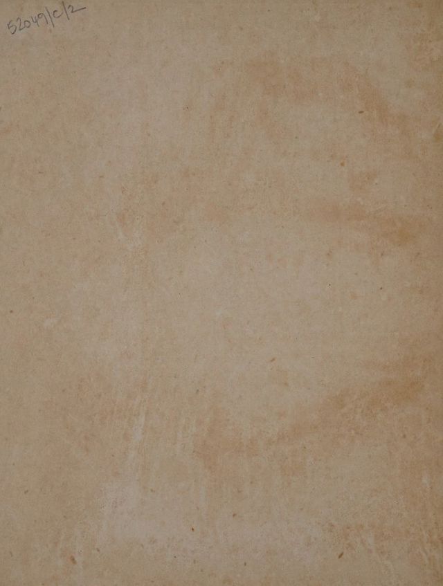digitised image 2