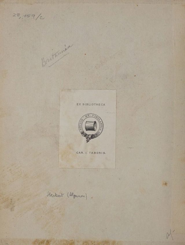 digitised image 2