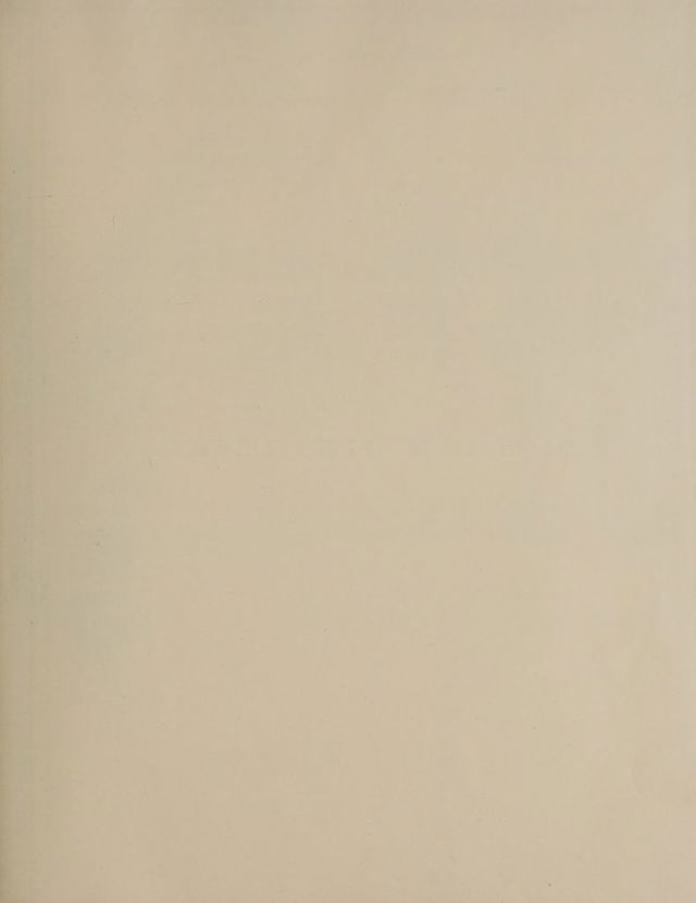 digitised image 3