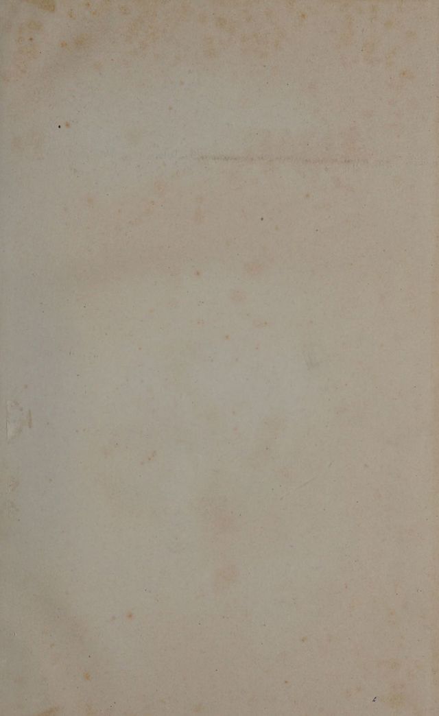 digitised image 3