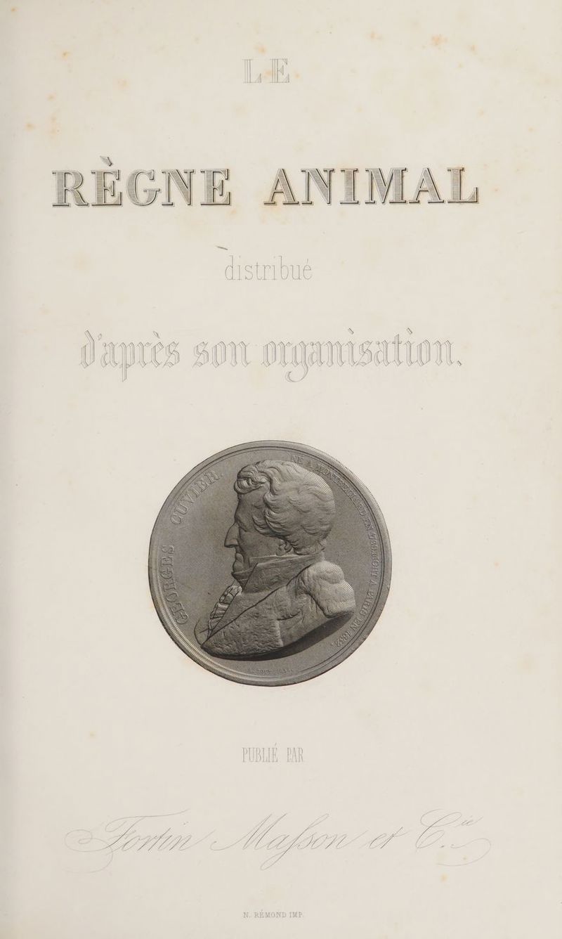 N, REMOND IME
