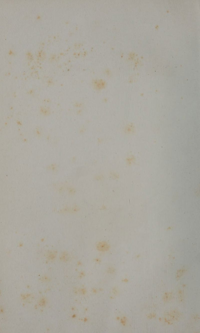 nf B'INCE 1 Fe RE PME DRE PA OO ENT AS DENTS y À A ’ \ ou { à ; 4 UT 4 L L