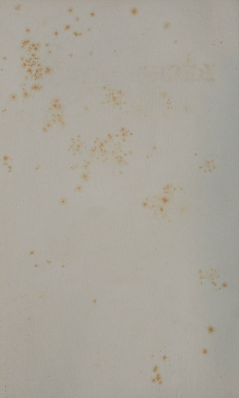 a Pi Va CE ON bles LS || ARE Se : Lt af (PET NN w\: À Hi. RE ii. rh CAE é: ; | + L1 | | oi! NS |