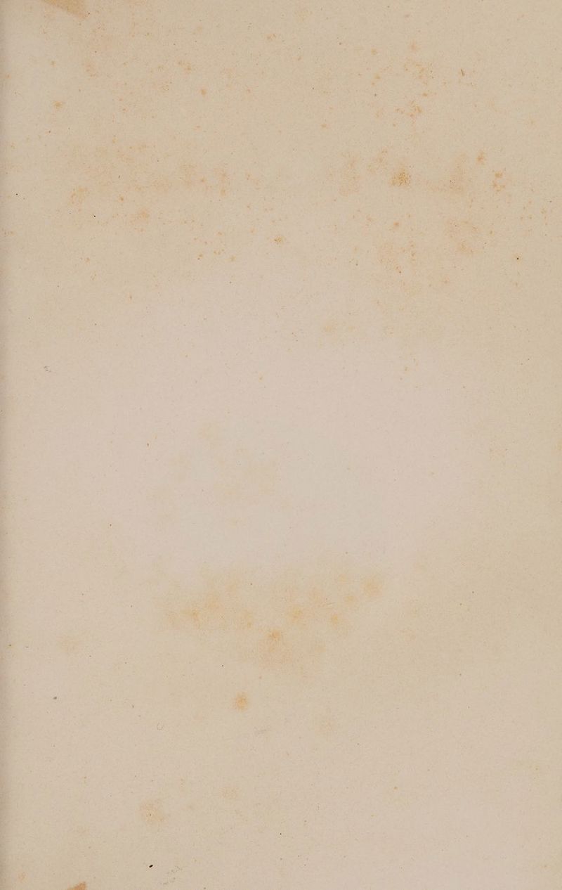 142 &amp; | Dot ; Lu 7 À f ( + ° + 7 (M4 te Mere AL sc 1H Sn he AE. à DE. PRE à Li y e Ex La FEU ï ns DURS: MU Ed : 08 WCT a  7, \ 4 ï 2 k su a Eos MEN Hart PE LEE RTE ; À 5j ul £ . pas y 1 ; \ ; 4 | L ÿ à ; a Se. à É à TR » *r v: LEUR Ne CT . Ce