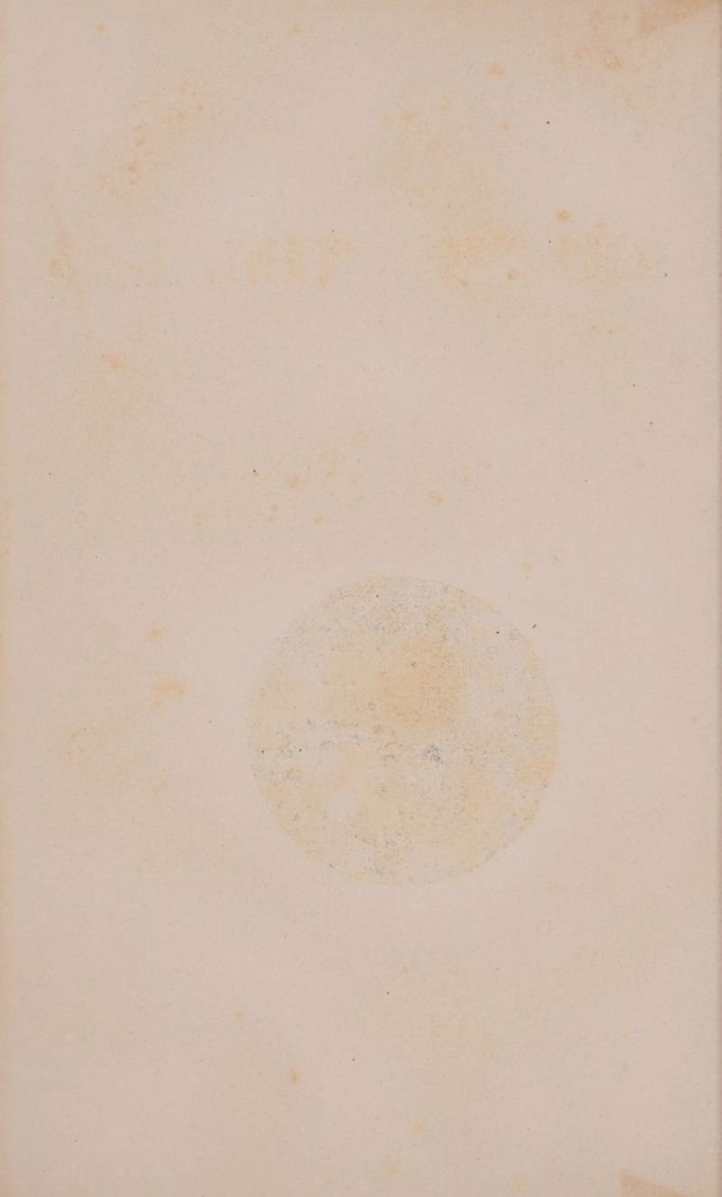 PAL HR a =  mg À Ne € LA Vi PR ‘ + 52 ir Ed ARE « LM UT R s 1