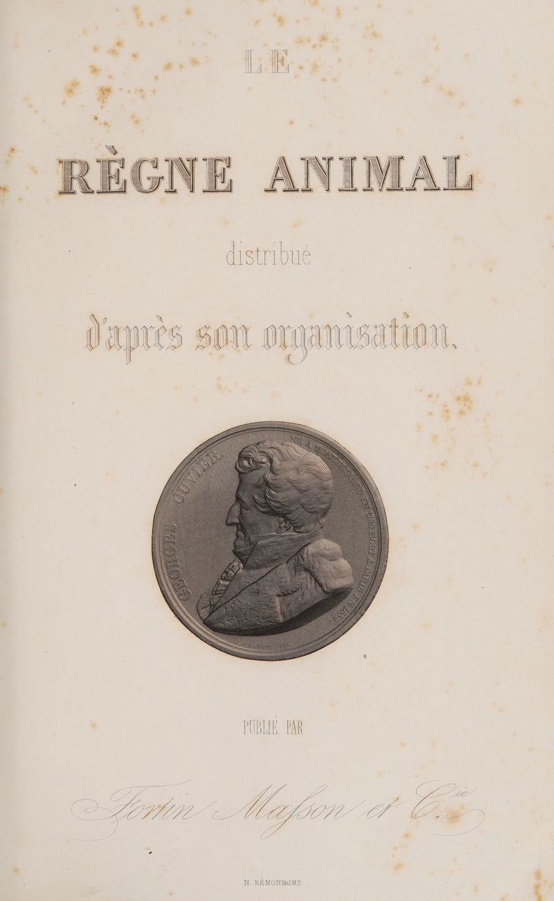 à # X L ® | vs FE | | ( & æ ? IL As EA dr: RE DT LE 4 Li + 5 $ à OU DRAMISAION. 2 : # F3 a He
