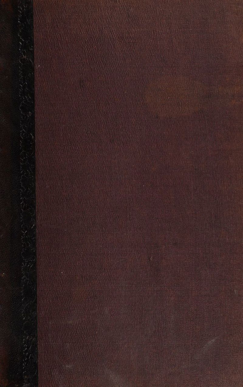 RARE RULES ri Mt ee tie ea : ë ; i