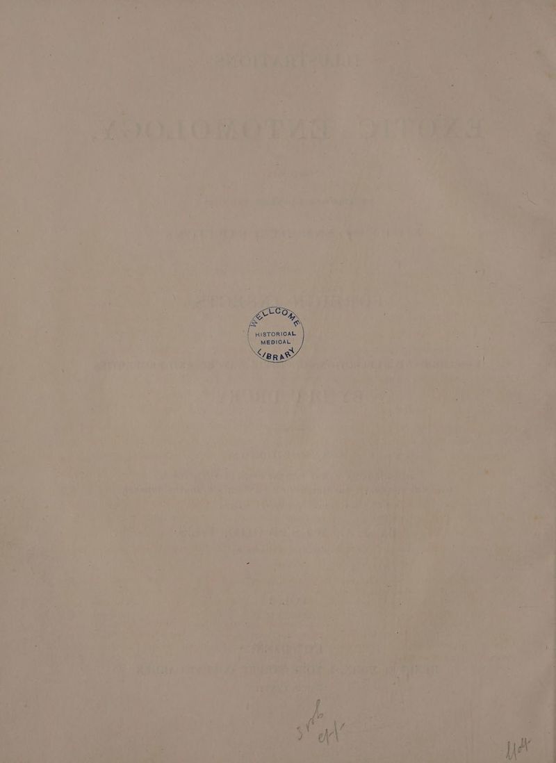 in Rae ORG i Ne ED cee i. inte ea oa ; i ine : .; ond os) f Y : ; t vp wr, $ J 1 J i J ap i i; ‘ 3 ‘ han ; i oa ee ne hes jah fe Mad . i : ; j A Mt ama.) i ings er al he wry: feet Mn een Ate it So), ’ ban if } ; 7 . Ms Riawe al ‘ ‘ : ky , . ‘s fey ' been / “ RRS . ee ce SET oe ; i Resp ts Rea kart ue a , ; * $ se er ; Pas “_ A M a vie ‘ ue? : ; ‘4 fat ¥ ‘ 2 is i 7 mS : 4 = 5 hy ¥ y Mies : ¥ BS OL Merits tony COR fs aie et i al i ; ea ik Lary i ‘ ; aa oa . ut at ae ‘4 art hy. oy oe 2% or ae 1 een” ut mob mes Cc i ee Lhe | id ian ne Ve ea A heed Sd pik Leys bax. uc his i 7 i a Sy a 4 se He Se t F oS .¢ i‘? ’ an Fu ie aesei bay i‘ fd > ~ ca | « ay ae ae es thes shah psy