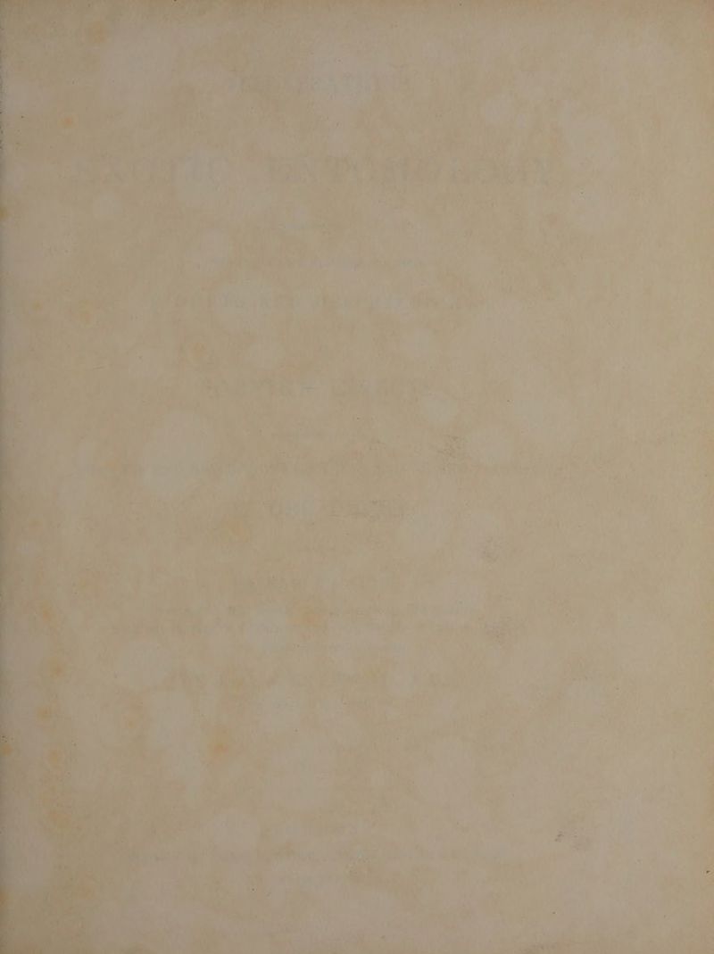 ’ ‘ one f iy a r f ) f a \9 enn, ie. oe se. Lea PE i. Pi we big. A. ti Ris ay, - a) ceil ae ‘ : : whe pi Pog He ee. i: wir ty aa ge or ! D4 >. ‘. Se A } : aye Ve “a a fe ah arene’ DO Aa f Toe . a me) , ; rd ‘we rt | ae By * 3 E Di ie 4 bh > 44 tas tras i ey ’ mek ye SS ; : é 4 , ! Big aie ee Sa: q Pi eh ue iw ; . é st ah ’ tA: 1. ' ‘ e MP } te ay 9% ve 24% r ry te , if ¥*y 4 + ie =f i bake a Ap sgt uae fis. i a a ‘nha Ny ry ” rigale Lea ’ ies 2 dA Vey ‘ |