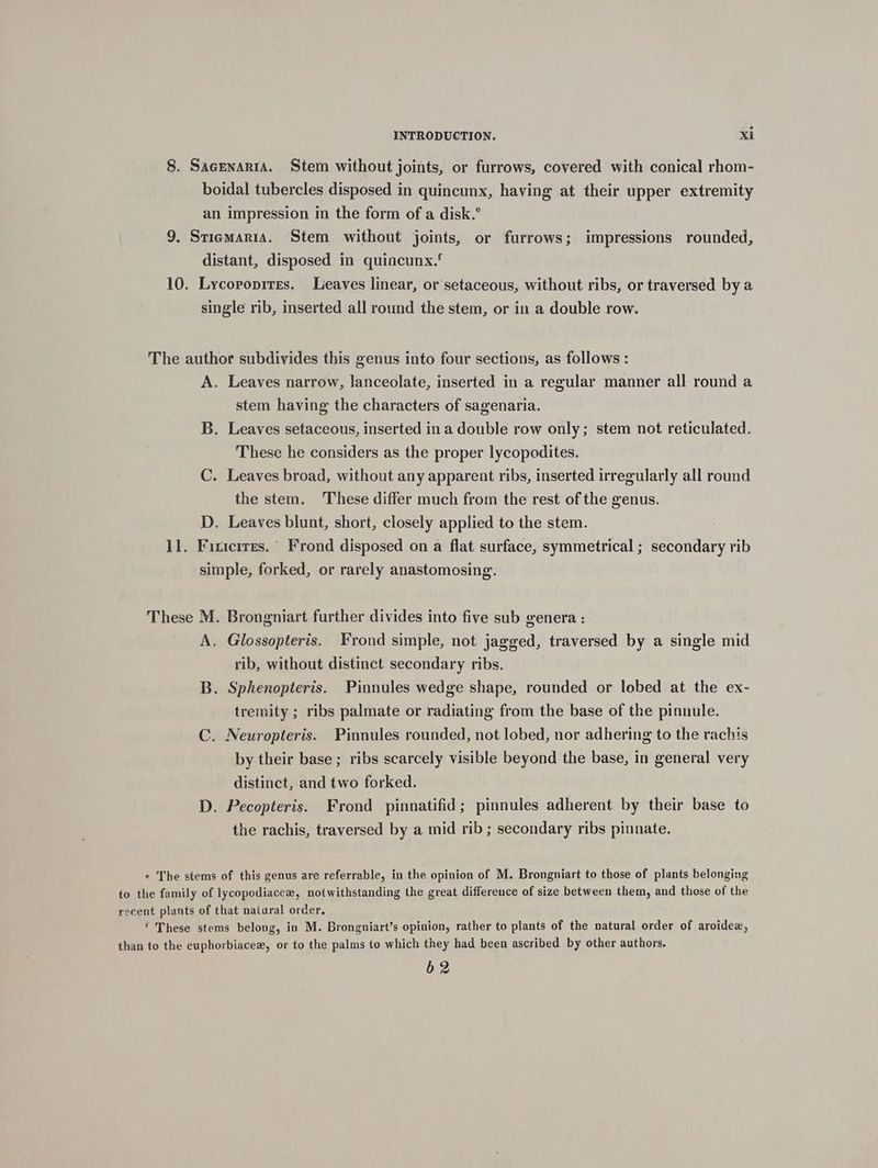 8. Sacenaria. Stem without joints, or furrows, covered with conical rhom- boidal tubercles disposed in quincunx, having at their upper extremity an impression in the form of a disk.° 9. Stiegmaria. Stem without joints, or furrows; impressions rounded, distant, disposed in quincunx.‘ 10. Lycopopires. Leaves linear, or setaceous, without ribs, or traversed by a single rib, inserted all round the stem, or in a double row. The author subdivides this genus into four sections, as follows : A. Leaves narrow, lanceolate, inserted in a regular manner all round a stem having the characters of sagenaria. B. Leaves setaceous, inserted in a double row only; stem not reticulated. These he considers as the proper lycopodites. C. Leaves broad, without any apparent ribs, inserted irregularly all round the stem. These differ much from the rest of the genus. D. Leaves blunt, short, closely applied to the stem. 1]. Fixicrres. Frond disposed on a flat surface, symmetrical ; secondary rib simple, forked, or rarely anastomosing. These M. Brongniart further divides into five sub genera : A. Glossopteris. Frond simple, not jagged, traversed by a single mid rib, without distinct secondary ribs. B. Sphenopteris. Pinnules wedge shape, rounded or lobed at the ex- tremity ; ribs palmate or radiating from the base of the pinnule. C. Neuropteris. Pinnules rounded, not lobed, nor adhering to the rachis by their base ; ribs scarcely visible beyond the base, in general very distinct, and two forked. D. Pecopteris. Frond pinnatifid; pinnules adherent by their base to the rachis, traversed by a mid rib ; secondary ribs pinnate. ¢ The stems of this genus are referrable, in the opinion of M. Brongniart to those of plants belonging to the family of lycopodiacew, notwithstanding the great difference of size between them, and those of the recent plants of that natural order. ‘ These stems belong, in M. Bronguiart’s opinion, rather to plants of the natural order of aroidez, than to the euphorbiacew, or to the palms to which they had been ascribed by other authors. 62