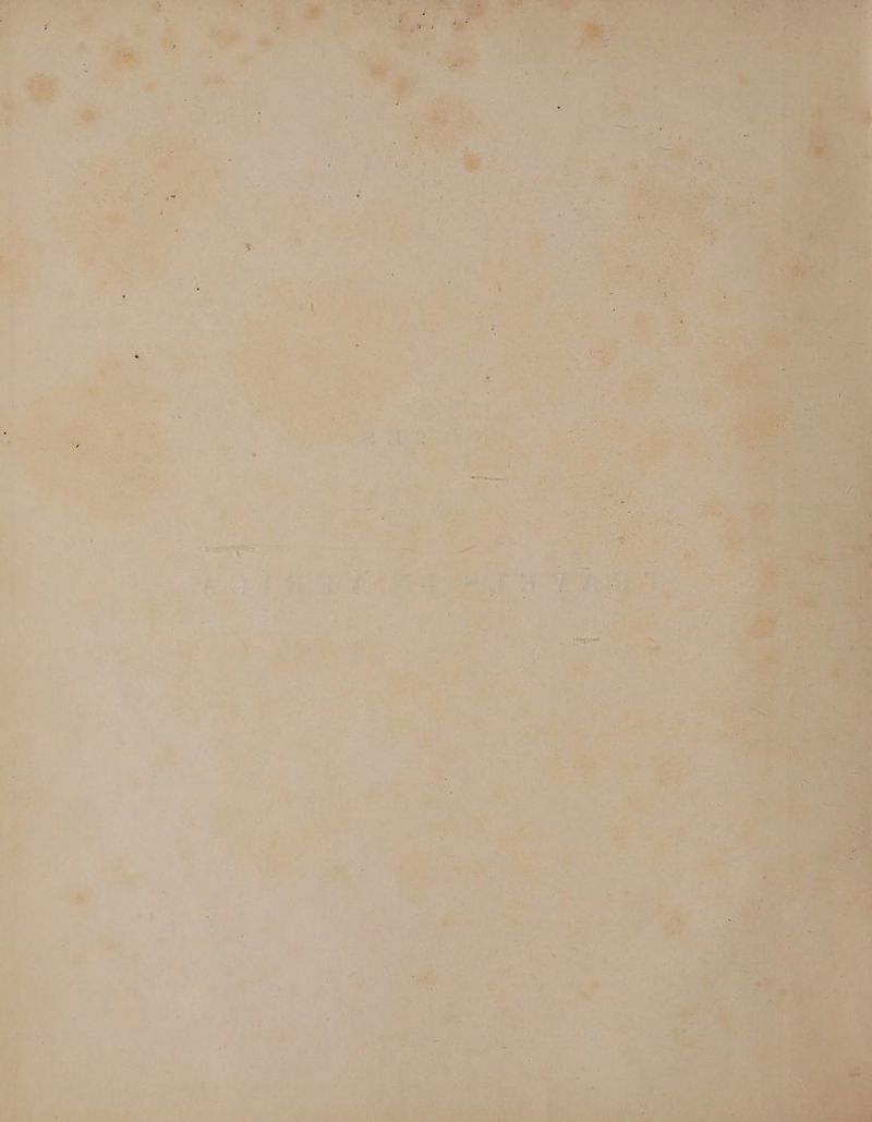 ee Roe a oR er a eee eat ie. a be ae 9 Ee. Ve fe 8 ed tae a a ee 2S ; epee. ae * 5 \ iy , iv ae . i iL } \ s% 2 + a as = ie , F >. 4. * ing sé hie |