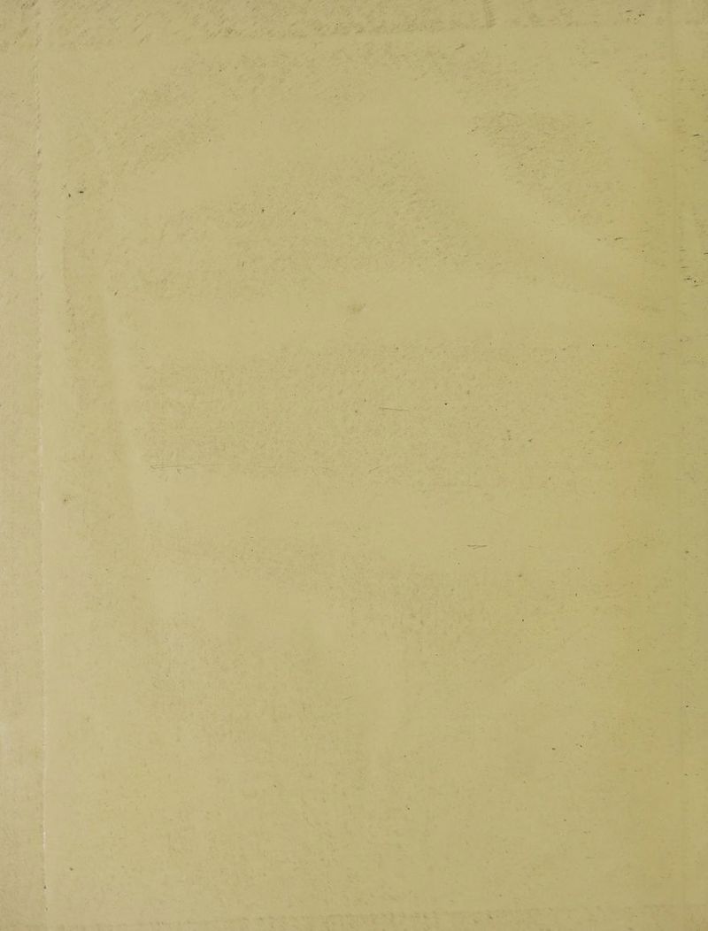 ve TASS, : re ~ 4 Ha ee, ¥