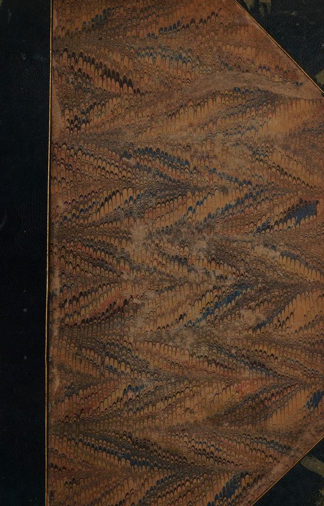 digitised image 1