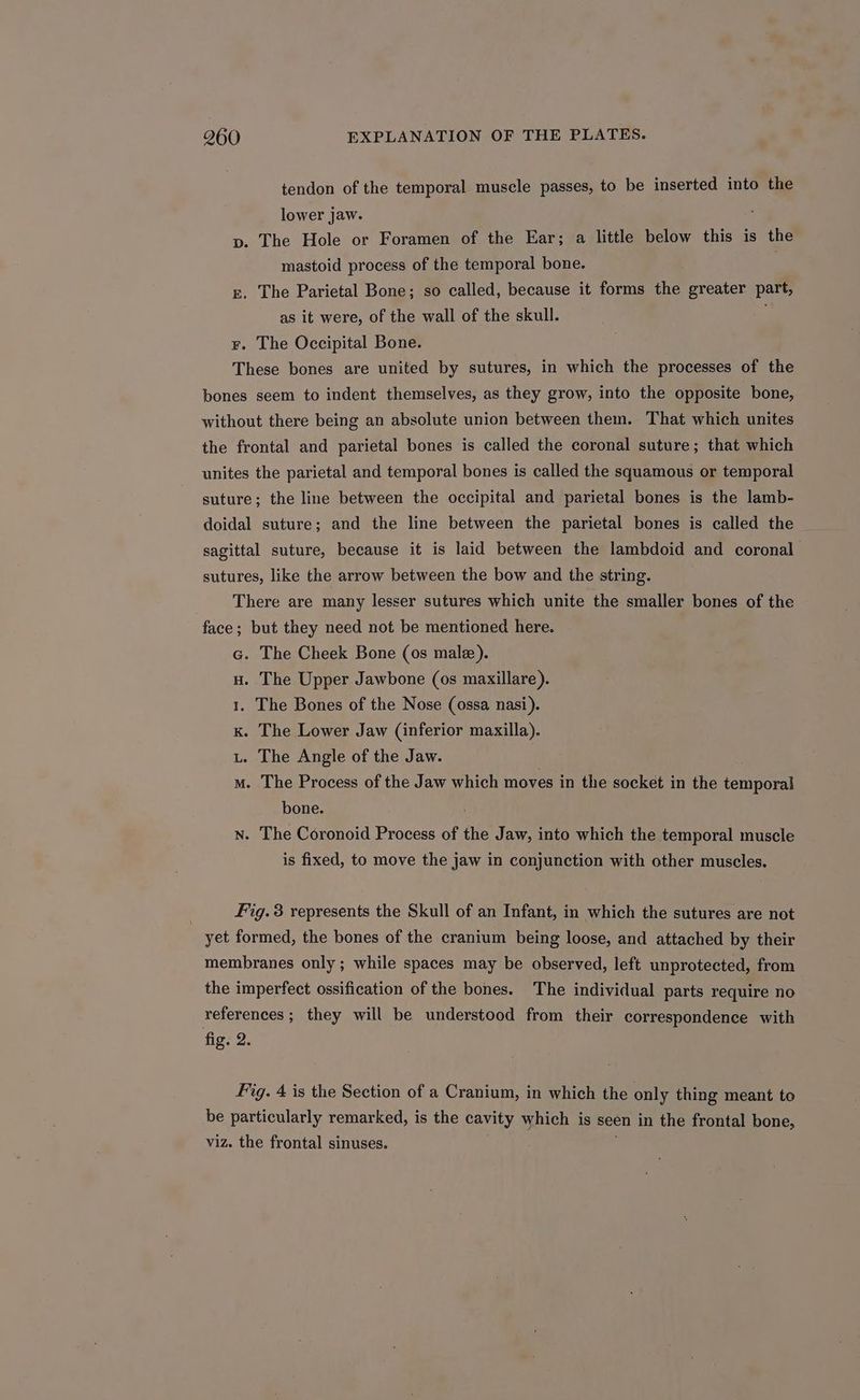 tendon of the temporal muscle passes, to be inserted into the lower jaw. p. The Hole or Foramen of the Ear; a little below this is the mastoid process of the temporal bone. E. The Parietal Bone; so called, because it forms the greater part, as it were, of the wall of the skull. : r. The Occipital Bone. These bones are united by sutures, in which the processes of the bones seem to indent themselves, as they grow, into the opposite bone, without there being an absolute union between them. That which unites the frontal and parietal bones is called the coronal suture; that which unites the parietal and temporal bones is called the squamous or temporal suture; the line between the occipital and parietal bones is the lamb- doidal suture; and the line between the parietal bones is called the sagittal suture, because it is laid between the lambdoid and coronal sutures, like the arrow between the bow and the string. There are many lesser sutures which unite the smaller bones of the face; but they need not be mentioned here. G. The Cheek Bone (os male). Hu. The Upper Jawbone (os maxillare). 1. The Bones of the Nose (ossa nasi). K. The Lower Jaw (inferior maxilla). Lt. The Angle of the Jaw. m. The Process of the Jaw which moves in the socket in the temporal bone. nN. The Coronoid Process of the Jaw, into which the temporal muscle is fixed, to move the jaw in conjunction with other muscles. Fig. 3 represents the Skull of an Infant, in which the sutures are not yet formed, the bones of the cranium being loose, and attached by their membranes only ; while spaces may be observed, left unprotected, from the imperfect ossification of the bones. The individual parts require no references; they will be understood from their correspondence with fig. 2. Fig. 4 is the Section of a Cranium, in which the only thing meant to be particularly remarked, is the cavity which is seen in the frontal bone, viz. the frontal sinuses.