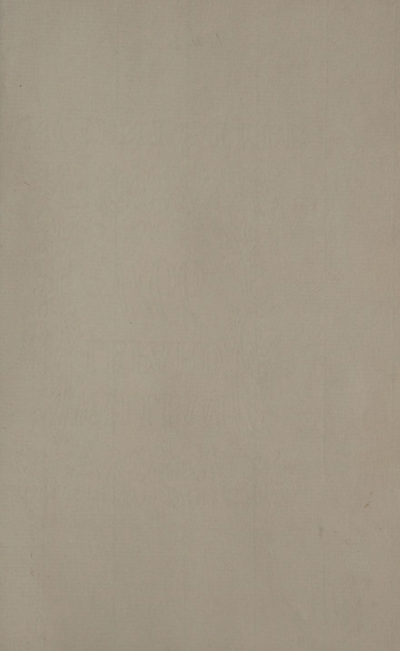 1 . ; Ma et So Aan fh ie A 7 iid ri, 4 i) VINA i is i 4 ’ sy iy i ee Bi sate t | : hs A aa oe in a , ay Ry. Paley ef He Test fae fie 1 Ahi Hh i rh eave ; Ath u; . aly x at | i ie - mi i ohm. ht rere a “ vet mh pares aban Ny N x ove Ce teeny aoe hae ‘7 ‘ yee } a rite hilt it oy re val ha vt fi eb of re rhea PAY vi tan Hs a” ve q on
