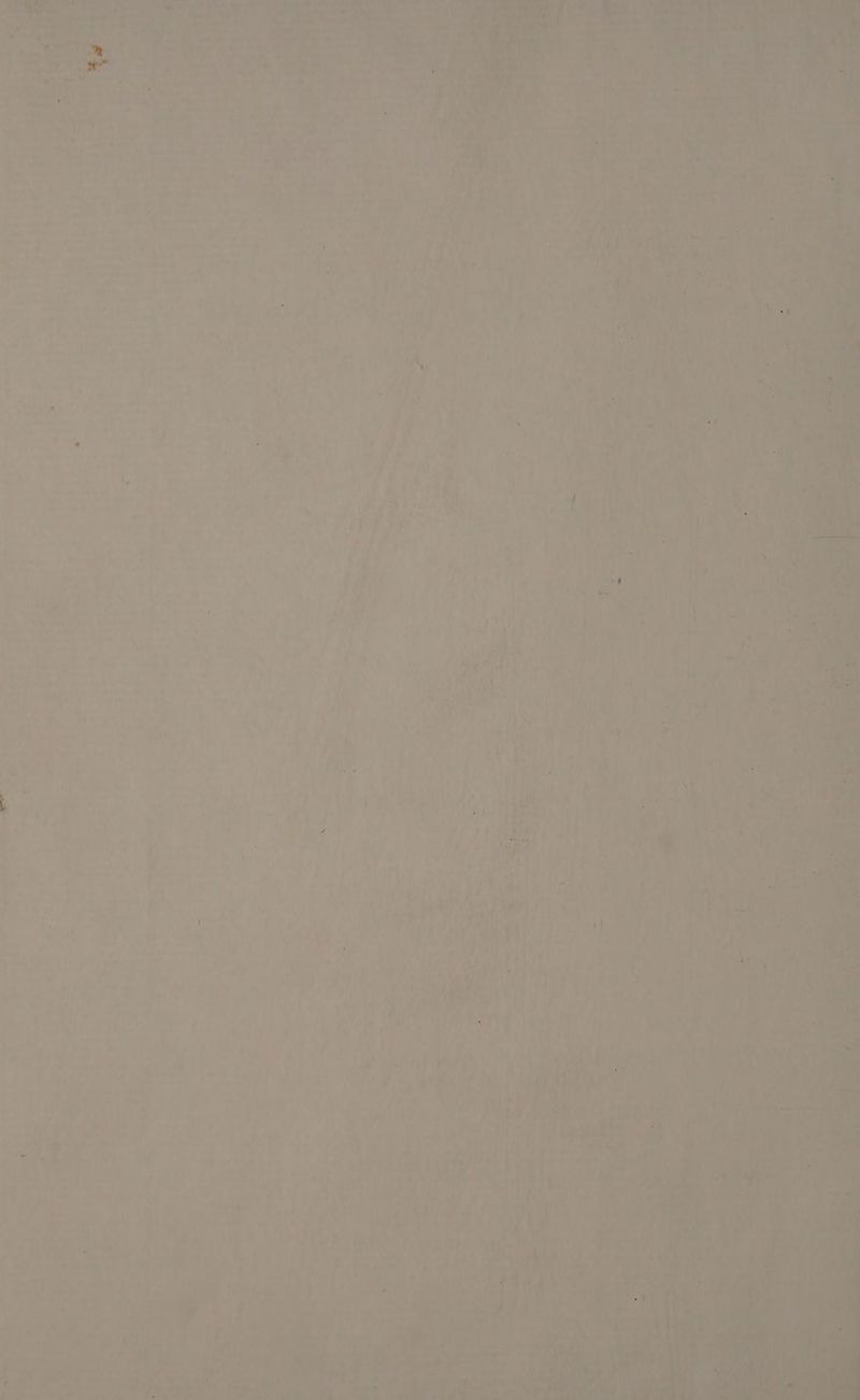 ae —> D pees se =a A Sa er: Baer ee MA pie Ree ‘ Oey “ shi v ate, eT ae a’ -« ‘ 7 1) PI eee en + | i . Py he ih a : , : t i) : &amp; tes 7s ~~ ha as: ey a Lae AS “ie arty ‘es vere ? ’ ‘ pad r . sah . hi 4 rN tt: wing : ‘ y % ib ‘ , 7 1 , J 7 ul 4 Ae Li a Die Bede * ‘ L } 4 i ‘j al y t i. “ ) j o . £ ' ‘ 3 - Ay d : / ¢ i ve i 5 : aft oe a , ) é yg’ F thse ik “ oh : { ait > &amp; > ; H Ki é ath ® fe. y anit x) be i ; bs ie \ - ; y * 4 if a j > ny re Gs. iG Waly . A i ‘na . lara © + i ; : case * av » ; ae j My te ; t Ai , wo | ‘ ’ 3 1) : b