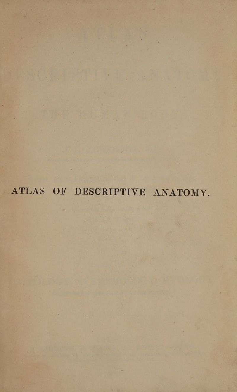 r i PTIVE ANATOMY. AS OF DESCRI , a me et | or a PP y ia 4 c +, wy a 2 .. Oe £2, . c RN . i 7 é las : és - ; am Ps ‘“ 7 ‘ r = “sh. E r j ae