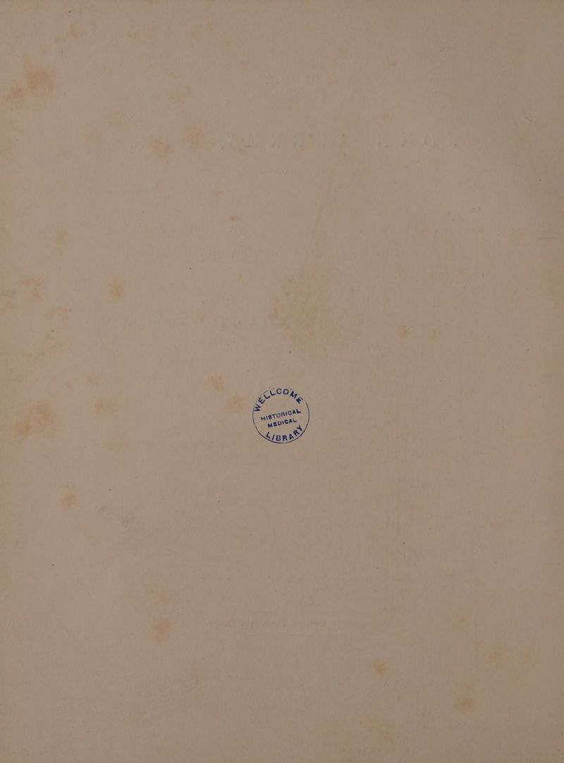 es eA eee Wa cae . a 4 ' n : a 1 eee Pe ee ee Lani , Len : ot nae be A MD gee RS he r ya Fe oy y hd hd ra tox 2s x ae fy ae aii ty ; ‘a B ' a he 7 4 al : iw ao ' % : , : La i ' : 1 vit ‘ ’ os 7 wee w- we a ¢ i / 2 ne 7 iv * ; » oi ’ ym, | 2 ’ . a q get ¢ é Ps F ‘ , > aah ty ¥ oy ; may ae “Ue Ww eo ” : | | | PYG 4 ONE ! JOP es re af in ¥ ay ; al Dt FP Oe ENS cals Tae eae Me
