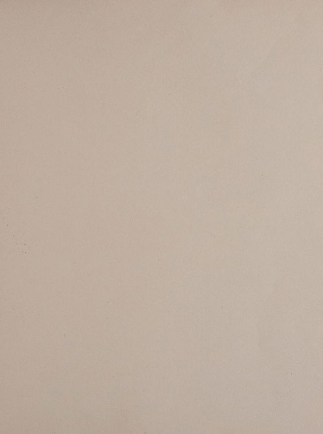 digitised image 3