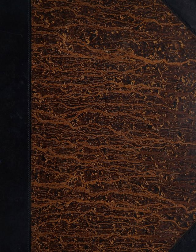 digitised image 1