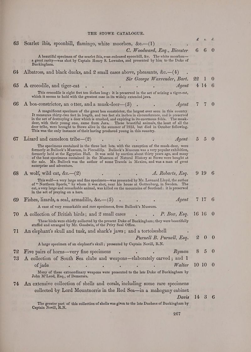 63 64 65 66 67 68 69 70 71 12 73 74 THE STOWE CATALOGUE. Scarlet ibis, spoonbill, flamingo, white moorhen, &amp;c.—(1) ‘ é C. Woodward, Esq., Bicester A beautiful specimen of the scarlet ibis, rose-coloured spoonbill, &amp;c. The white moorhen— a great rarity—was shot by Captain Henry S. Lowndes, and presented by him to the Duke of Buckingham. Albatross, and black ducks, and 2 small cases above, pheasants, &amp;e.—(4) . Sir George Warrender, Bart. A crocodile, and tiger-cat . : : : ; Agent _This crocodile is eight feet ten inches long: it is preserved in the act of seizing a tiger-cat, which it seems to hold with the greatest ease in its widely extended jaws. A boa-constrictor, an otter, anda musk-deer—(3) . : Agent A magnificent specimen of the great boa constrictor, the largest ever seen in this country. It measures thirty-two feet in length, and two feet six inches in circumference, and is preserved in the act of destroying a deer which is crushed, and expiring in its enormous folds. The musk- deer, with their young one, came from Java. These beautiful animals, the least of all the deer tribe, were brought to Stowe alive in the summer of 1828, but died in October following. This was the only instance of their having produced young in this country. Lizard and cameleon tribe—(2) : : : : _ Agent The specimens contained in the three last lots, with the exception of the musk-deer, were formerly at Bullock’s Museum, in Piccadilly. Bullock’s Museum was a very popular exhibition, formerly held at the Egyptian Hall. It was sold by auction about thirty years ago, and many of the best specimens contained in the Museum of Natural History at Stowe were bought at the sale. Mr. Bullock was the author of some Travels in Mexico, and was a man of great enterprise and adventure. A wolf, wild cat, &amp;¢.—(2) ; : j A. Robarts, Esq. This wolf—a very large and fine specimen—was presented by Mr. Leonard Lloyd, the author of ** Northern Sports,’’ by whom it was shot, near his house at Gottenburg, in Sweden. The cat, avery large and remarkable animal, was killed on the mountains of Scotland: it is preserved in the act of preying on a hare. Fishes, lizards, a seal, armadillo, &amp;.—(5) . : : Agent A case of very remarkable and rare specimens, from Bullock’s Museum. A collection of British birds; and 2 small cases. bo ne ed 8108 shag! AWE These birds were chiefly collected by the present Duke of Buckingham; they were beautifully stuffed and arranged by Mr. Goodwin, of the Privy Seal Office. An elephant’s skull and tusk, and shark’s jaws; and a tortoiseshell : Purnell B. Purnell, Esq. A large specimen of an elephant’s skull; presented by Captain Nevill, R.N. Five pairs of horns—very fine specimens. : : Ryman A collection of South Sea clubs and weapons—elaborately carved ; and 1 of jade : ; ; : é : Walter Many of these extraordinary weapons were presented to the late Duke of Buckingham by John M‘Leod, Esq., of Demerara. An extensive collection of shells and corals, including some rare specimens collected by Lord Mountnorris in the Red Sea—in a mahogany cabinet The greater part of this collection of shells was given to the late Duchess of Buckingham by Captain Nevill, R.N. 267 ge 6 6 raed | 4 14 cane oO 9 19 Tele 16 16 ae UY Siro 10 10 a)