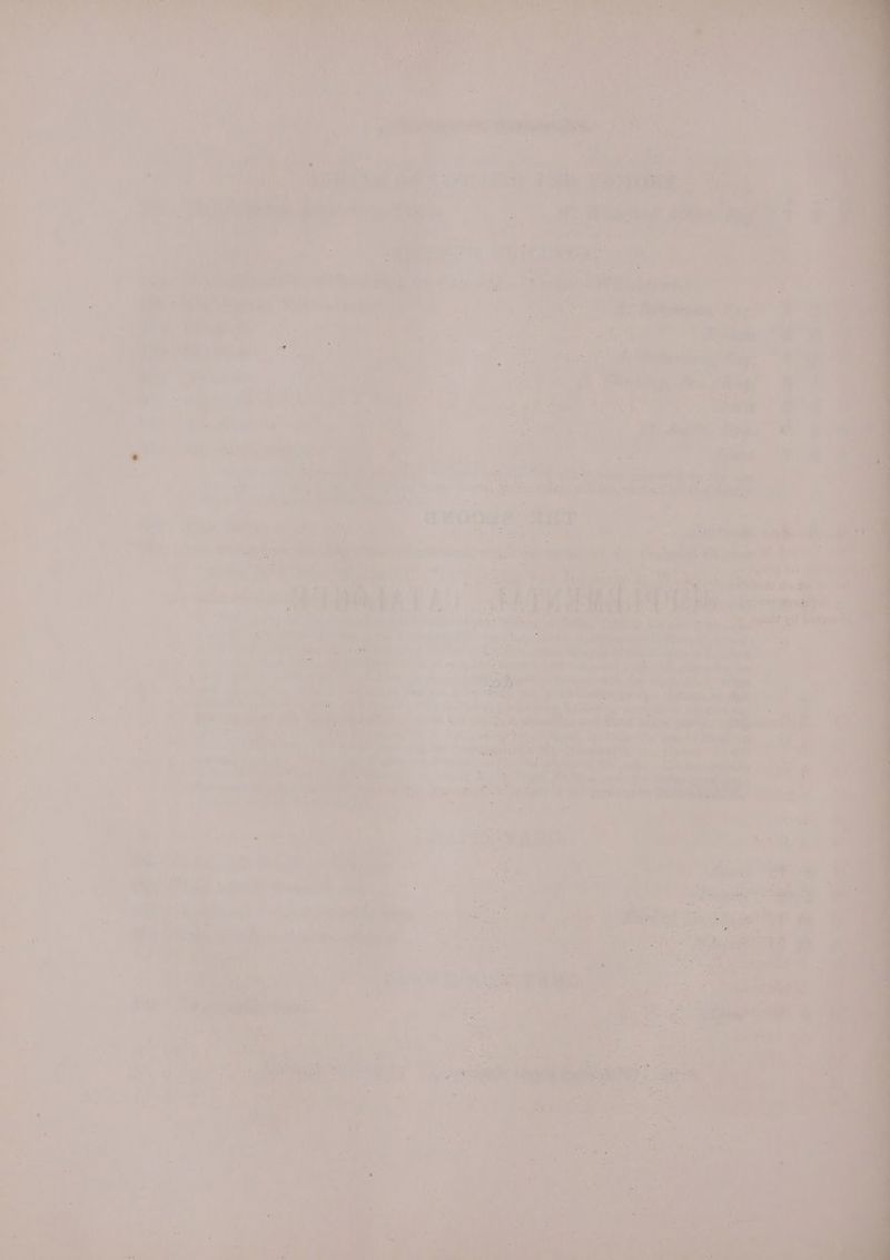 fe ae bo 7 . : ‘ o ~ ee Te o ¢ i i Fs ied : | i a ee 7 ah FS pores F rg ‘ ‘Pon ‘ ies ’ 9 ‘ Sade i , he : book ; “re t & Se aS eal itn S 4 ae 1 rt U bes € oo - gil y é i J : | 4 7 : <- Me | a4 ¥ . y “ys a ee ia . : f | te ah, 5 Be 3 7 ‘4 7 : Oe # iy igen IV Baa eK : “ae rage us of itd CEA DE Baste cer ap egapa i ‘ ss 24 i ; - > : d 7 hols > af : sp | aa: i ms yore 1 , + bt? a be 3 . Bt *. We ye. We ele Ne ane ue it