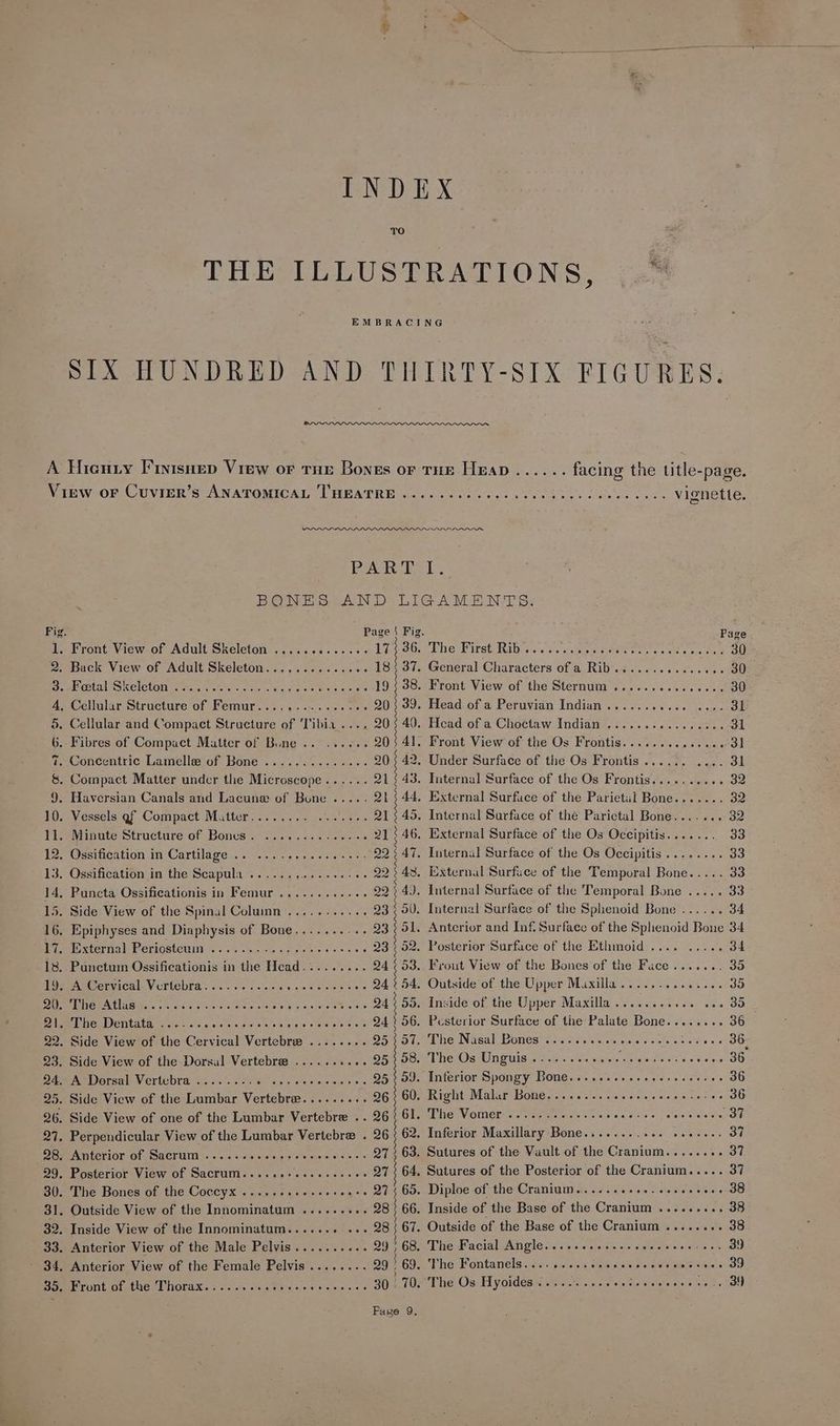 TO View or Cuvier’s ANATOMICAL THEATRE ......0. 00.0 cec0 cece ceeee cues vignette. PART 1. BONES AND LIGAMENTS. Fig. Page $ Fig. Puce 1. Front View of Adult Skeleton .....0+..+.5: 17} 36. The First Rib....... SS on ieee eee 2. Back View of Adult Skeleton............4. 18°37. General Characters of a Rib............00. 30 mraPostadskeleton of esac took shy cack ete oma 19 § 38. Front View of the Sternum ...... Byrnes 4 | 30 A, Cellular Structure of Femur...,.........0. 90 $ 39. Head of a Peruvian Indian........... bos | 5. Cellular and Compact Structure of Tibia .... 20°40. Head of a Choctaw Indian ....... Pearce cick 31 6. Fibres of Compact Matter of Bune .. ..... . 203 41. Front View of the Os Frontis......... weer ol 7. Concentric Lamelle of Bone ...........-.+. 20 42, Under Surface of the Os Frontis...... OL 8, Compact Matter under the Microscope...... 21543. Internal Surface of the Os Frontis........ oe 9. Haversian Canals and Lacuna of Bune ..... Qh | 44, External Surface of the Parietui Bone....... 32 10. Vessels gf Compact Matter........ 0.0.66, 21545. Internal Surface of the Parictal Bone....... 32 11. Minute Structure of Bonus. ........-.00-0% 21 46, External Surface of the Os Occipitis....... 33 12° Ossitication in Cartilage 2. <.0225.-6-.8- >> 92°47. Internal Surface of the Os Occipitis........ 33 13. Ossification in the Scapula’......,......-%- 223 43. external Surface of the Temporal Bone..... 33 14, Puncta Ossificationis in Femur .........+++ 29 4). Internal Surface of the Temporal Bone ..... 33 15. Side View of the Spinal Column ........... 23; 5U. Internal Surface of the Sphenoid Bone ...... 34 16, Epiphyses and Diaphysis of Bone.......... 93 | 51. Anterior and Inf. Surfaec of the Sphenoid Bone 34 iu xternal: Periostewhi ss +s ct. ria dalsgieie eae. « 23 ¢ 52. Posterior Surface of the Ethmoid .... ..... 34 18. Punctum Ossificationis in the Head......... 24 53. Frout View of the Bones of the Face....... 35 19, A Cervical. Vertebra.........-. tancoraesere erat 94254. Outside of the Upper Maxilla......... Sipe, AO a ISN BOE: Soeewmmin Goes AA Oe aoe 24 55. Inside of the Upper Maxilla ........... ... 35 2A The Dentata, is. 3. std ereahaoten saddle ate preerats 2456. Posterior Surface of the Palate Bone........ 36 22, Side View of the Cervical Vertebree ........ OS ibe Ni salibOMmeslnverciriey ct le pletelactetels «ists bon he 23. Side View of the Dorsal Vertebre .......... 2558. The Os Unguis .......-..0++0 Doerr ween 36 94. A Dersal Vertebra ....-.-. Bee Rhee erst) 25°59. Inferior Spongy Bone.......+sseeereeeeres 36 25. Side View of the Lumbar Vertebree......... 26} 60, Right Malur Bone.......-.eeeeeeee ee ceee » 36 26. Side View of one of the Lumbar Vertebre .. 26361. The Vomer ............. eee ies seseeee . 37 27. Perpendicular View of the Lumbar Vertebre . 26.3 62. Inferior Maxillary Bone........+.. -. seieiete OU 28. Anterior of Sacrum ......s.e0> Maroyereystein ets 27°63. Sutures of the Vault of the Cranium....... Dei 29. Posterior View of Sacrum......+e..eseese% Q7 : 64. Sutures of the Posterior of the Cranium..... 37 30. The Bones of the Coccyx .......+++-+> ..+. 275 65. Diploe of the Cranium...... Jona bodomodan ste) 31. Outside View of the Innominatum ......... 28 | 66. Inside of the Base of the Cranium ......... 38 32. Inside View of the Innominatum....... ..- 28 67. Outside of the Base of the Cranium ........ 38 33. Anterior View of the Male Pelvis.......... 99> 68. The Facial Angle.......ssssscecerses ace 39 . Anterior View of the Female Pelvis ........ 29 69. The Fontanels 02. 6.2.2 cesses a teteesatela OO