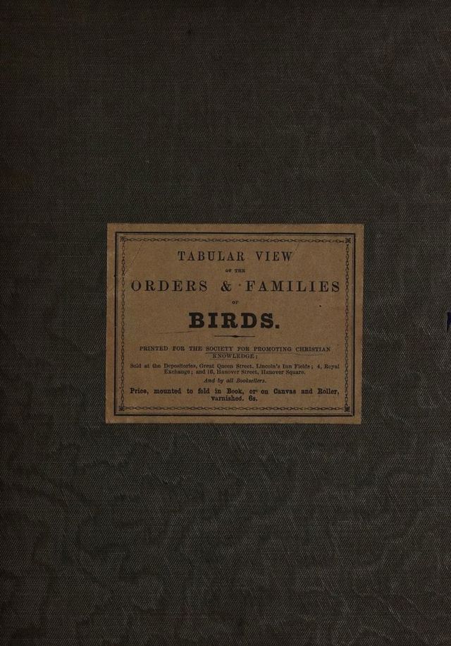 digitised image 1