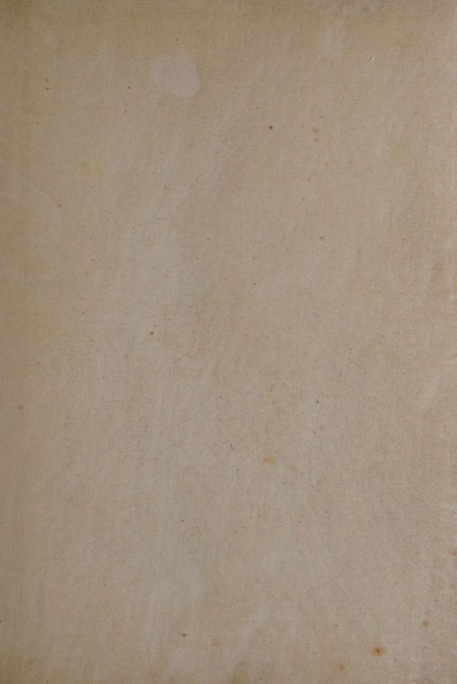 digitised image 3