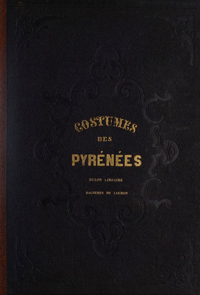 No text description is available for this image