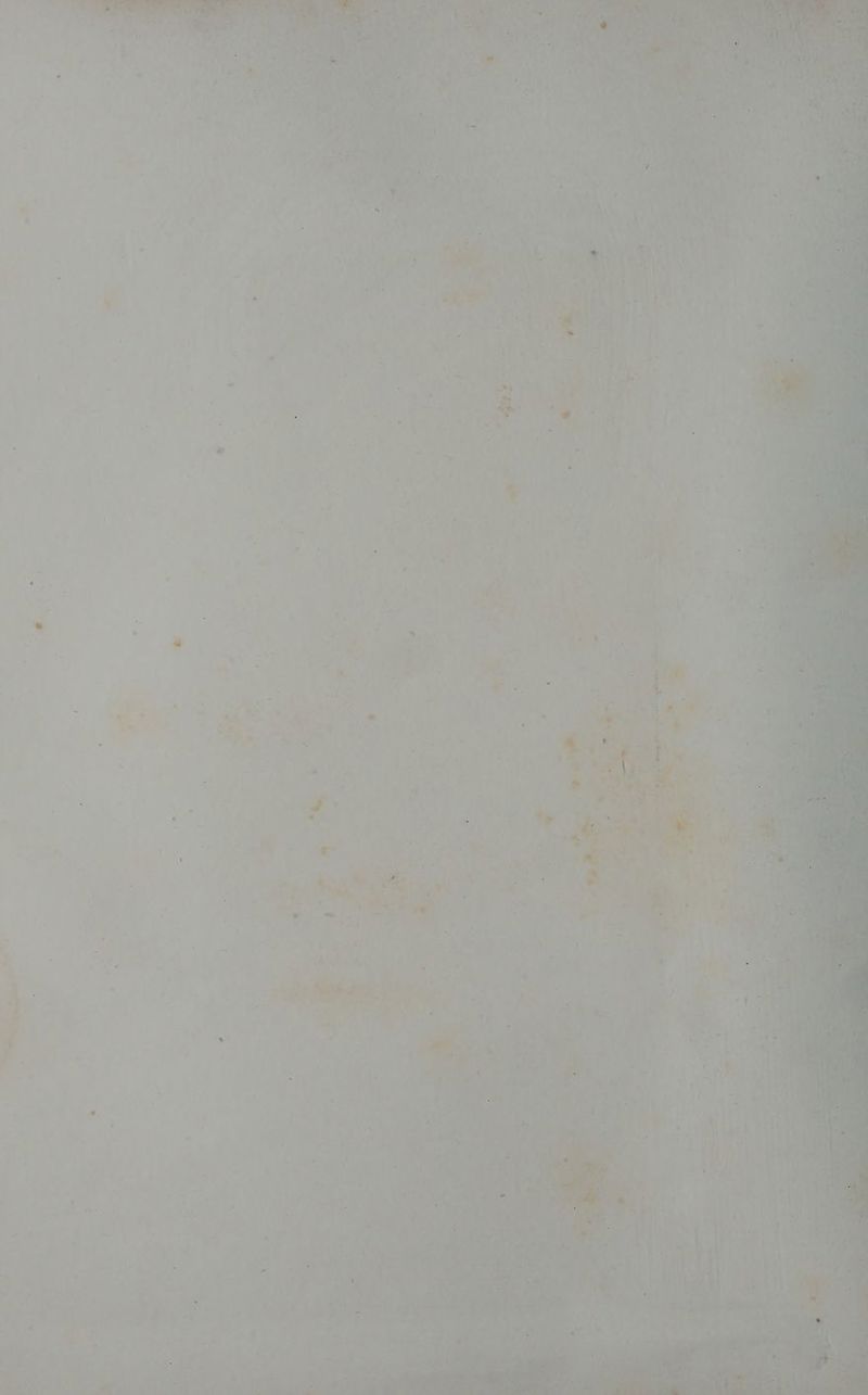 a. F Pa - ba PA > ges moi ds ae