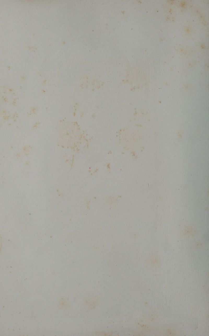 Le _— … sa Le gl