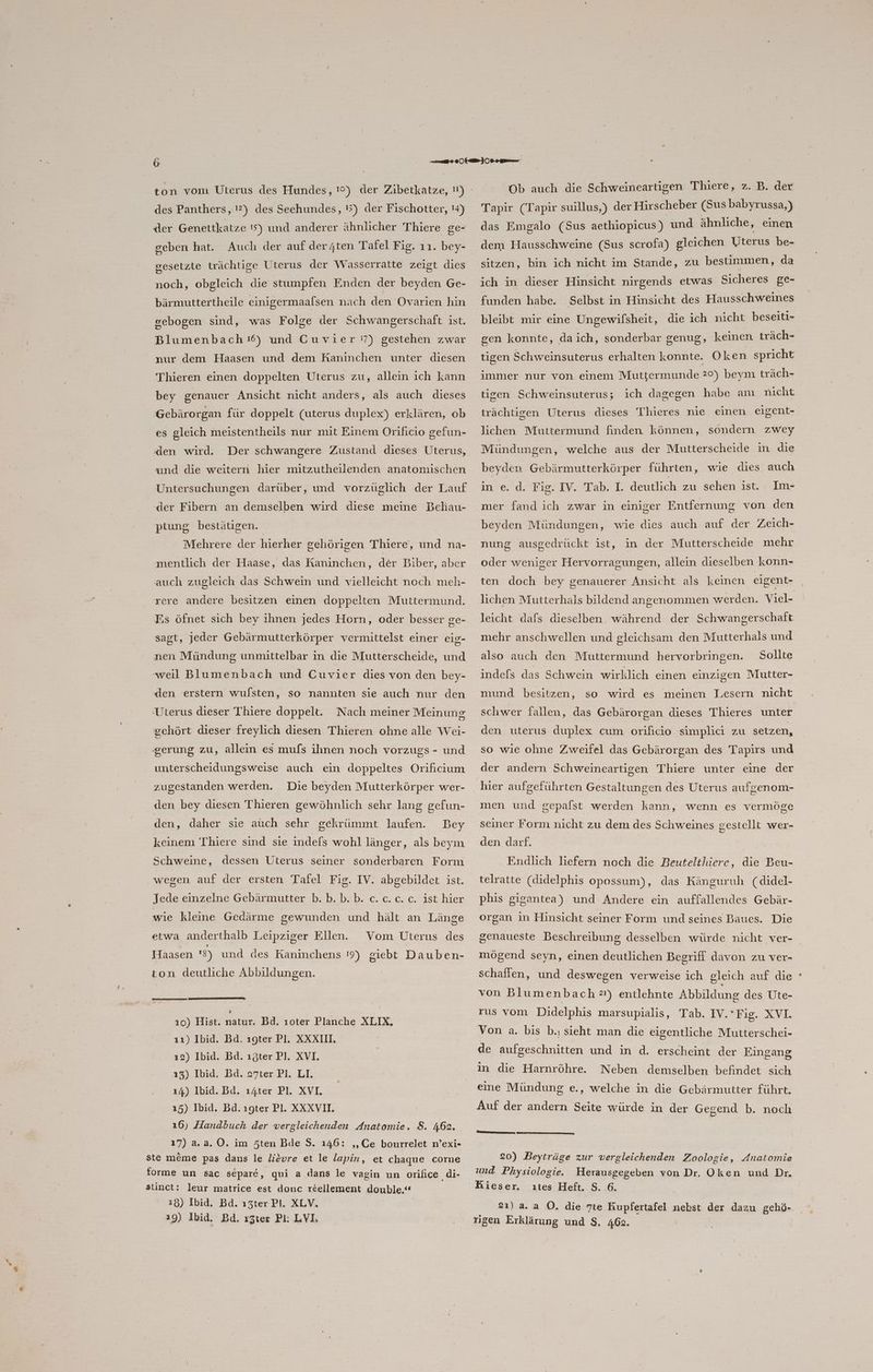 des Panthers, !?) des Seehundes, !5) der Fischotter, '4) der Genettkatze 15) und anderer ähnlicher Thiere ge- geben hat. Auch der auf deryten Tafel Fig. ıı1. bey- gesetzte trächtige Uterus der Wasserratte zeigt dies noch, obgleich die stumpfen Enden der beyden Ge- bärmuttertheile einigermaalsen nach den Ovarien hin gebogen sind, was Folge der Schwangerschaft ist. Blumenbach 16) und Cuvier '!’) gestehen zwar nur dem Haasen und dem Raninchen unter diesen Thieren einen doppelten Uterus zu, allein ich kann bey genauer Ansicht nicht anders, als auch dieses Gebärorgan für doppelt (uterus duplex) erklären, ob es gleich meistentheils nur mit Einem Orificio gefun- den wird. Der schwangere Zustand dieses Uterus, und die weitern hier mitzutheilenden anatomischen Untersuchungen darüber, und vorzüglich der Lauf -der Fibern an demselben wird diese meine Bcehau- ptung bestätigen. Mehrere der hierher gehörigen Thiere, und na- mentlich der Haase, das Kaninchen, der Biber, aber auch zugleich das Schwein und vielleicht noch meh- rere andere besitzen einen doppelten Muttermund. Is öfnet sich bey ihnen jedes Horn, oder besser ge- sagt, jeder Gebärmutterkörper vermittelst einer eig- nen Mündung unmittelbar in die Mutterscheide, und weil Blumenbach und Cuvier dies von den bey- den erstern wufsten, so nannten sie auch nur den ‚Uterus dieser Thiere doppelt. Nach meiner Meinung gehört dieser freylich diesen Thieren ohne alle Wei- gerung zu, allein es mufs ihnen noch vorzugs - und unterscheidungsweise auch ein doppeltes Orifictum zugestanden werden. Die beyden Mutterkörper wer- den bey diesen Thieren gewöhnlich sehr lang gefun- den, daher sie auch sehr gekrümmt laufen. Bey keinem Thiere sind sie indefs wohl länger, als beym Schweine, dessen Uterus seiner sonderbaren Form wegen auf der ersten Tafel Fig. IV. abgebildet ist. Jede einzelne Gebärmutter b. b. b. b. c. c.c. c. ist hier wie kleine Gedärme gewunden und hält an Länge etwa anderthalb Leipziger Ellen. Vom Uterus des Haasen 13) und des Kaninchens 19) giebt Dauben- ton deutliche Abbildungen. ı0) Hist. ce Bd. ıoter Planche XLIX, ı1) Ibid. Bd. ıgter Pl. XXXIIl. ı2) Ibid. Bd. ıSter Pl. XVI. 13) Ibid. Bd. z7ter Pl. LI. ı4) Ibid. Bd. ı4ter Pl. XVI. 15) Ibid. Bd. ıgter Pl. XXXVI. 16) Handbuch der vergleichenden Anatomie. 8. 462. 17) a.2.0. im Sten Bde S. 146: „Ce bourrelet n’exi- ste meme pas dans le lievre et le lapin, et chaque corne forme un sac separe, qui a dans le vagin un orifice di- 28) Ibid. Bd. ı3ter Pi. XLV. 29) Ibid. Bd. ı5ter Pi: LVI Ob auch die Schweineartigen Thiere, z. B. der Tapir (Tapir suillus,) der Hirscheber (Sus babyrussa,) das Emgalo (Sus aethiopicus) und ähnliche, einen dem Hausschweine (Sus scrofa) gleichen Uterus be- sitzen, bin ich nicht im Stande, zu bestimmen, da ich in dieser Hinsicht nirgends etwas Sicheres ge- funden habe. Selbst in Hinsicht des Hausschweines bleibt mir eine Ungewifsheit, die ich nicht beseiti- gen konnte, daich, sonderbar genug, keinen träch- tigen Schweinsuterus erhalten konnte. Oken spricht immer nur von einem Muttermunde 20) beym träch- tigen Schweinsuterus; ich dagegen habe am nıcht trächtigen Uterus dieses Thieres nie einen eigent- lichen Muttermund finden können, sondern zwey Mündungen, welche aus der Mutterscheide in die beyden Gebärmutterkörper führten, wie dies auch in e. d. Fig. IV. Tab. 1. deutlich zu schen ist. Im- mer fand ich zwar in einiger Entfernung von den beyden Mündungen, wie dies auch auf der Zeich- nung ausgedrückt ist, in der Mutterscheide mehr oder weniger Hervorragungen, allein dieselben konn- ten doch bey genauerer Ansicht als keinen eigent- lichen Mutterhals bildend angenommen werden. Viel- leicht dafs dieselben während der Schwangerschaft mehr anschwellen und gleichsam den Mutterhals und Sollte indefs das Schwein wirklich einen einzigen Mutter- also auch den Muttermund hervorbringen. mund besitzen, so wird es meinen Lesern nicht schwer fallen, das Gebärorgan dieses Thieres unter den uterus duplex cum orificio simplici zu setzen, so wie ohne Zweifel das Gebärorgan des Tapirs und der andern Schweineartigen Thiere unter eine der hier aufgeführten Gestaltungen des Uterus aufgenom- men und gepafst werden kann, wenn es vermöge seiner Form nicht zu dem des Schweines gestellt wer- den darf. Endlich liefern noch die Beutelthiere, die Beu- telratte (didelphis opossum), das Känguruh (didel- phis gigantea) und Andere ein auffallendes Gebär- organ in Hinsicht seiner Form und seines Baues. Die genaueste Beschreibung desselben würde nicht ver- mögend seyn, einen deutlichen Begriff davon zu ver- schaffen, und deswegen verweise ich gleich auf die von Blumenbach 21) entlehnte Abbildung des Üte- rus vom Didelphis marsupialis, Tab. IV. Fig. XVI. Von a. bis b., sieht man die eigentliche Mutterschei- de aufgeschnitten und in d. erscheint der Eingang in die Harnröhre. Neben demselben befindet sich eine Mündung e., welche in die Gebärmutter führt. Auf der andern Seite würde in der Gegend b. noch mamma 20) Beyträge zur vergleichenden Zoologie, Anatomie und Physiologie. Herausgegeben von Dr, Oken und Dr. 2ı)a.a 0. die Tte Kupfertafel nebst der dazu gehö- rigen Erklärung und S. 462. »