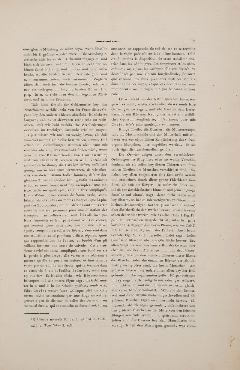 eine gleiche Mündung zu sehen seyn, wenn dieselbe nicht bis f. geöfnet worden wäre. Die Mündung e. erstreckt sich bis zu dem Gebärmuttergange n. und biegt sich bis zu 0. mit um. Eben so geht der ge- öfnete Canal b. f. in g. und h. über und nun laufen ‚beyde, wo die beyden Gebärmuttertheile g. h. g und n. 0. zusammentreten, auch zusammen. Zugleich öfnen sich auch hier die beyden Theile, oder wie man sie auch genannt hat, die beyden Hörner k. ı. p- Q. darm und in t. die Urinblase. Dafs diese Gestalt der Gebärmutter bey den In u. u. sicht man den anhängenden Mast- Beutelthieren wirklich sehr von der Form dieses Or- gans bey den andern Thieren abweicht, ist nicht zu läugnen, und es ist deswegen recht schr zu wün- schen, dafs wir bald ausführliche Zergliederungen derselben im trächtigen Zustande erhalten mögen. Bis jezt wissen wir noch zu wenig davon, als dals man viel mehr, als dieselbe beschreiben könnte. Und selbst die Beschreibungen stimmen nicht ganz mit einander überein, was man bald finden wird, wenn man die von Blumenbach, von Daubenton 2) und von Cuvier 3) vergleichen will. Vorzüglich ist die Beschreibung, die Cuvier liefert, auffallend genug, um sie hier ganz herzusetzen, da wir über- dies von diesem Manne hoffen können, dafs er der- gleichen Thiere zergliedert hat. „Enfin les animaux a bourse nous fournissent des exemples d’une ma- trice triple ou quadruple, et A la fois compliquee. Il y a d’abord deux cornes de forme ovale, cour- bees.en dehors, plus ou moins alongees, que la plü- part des Zootomistes, qui ont deerit avant nous cette sorte de matrice, prennent pour une dilatation des trompes; mais celles-ci en sont tres-distinet par leurs sinuosites et leur petit diametre. ÜCes cornes, qui forment, pour ainsi dire, chacune une matrice A part, comparable a celles de lievres, s’ouvrent dans une troisieme cavitd par deux orifices separes, quoi- que rapproches Yun de Yautre, et bordes d’un pli saillant formant une sorte de valvule. Cette troi- sieme cavite est assez compliquee, son fond en est la partie la plus large; elle va en se retrecissant a mesure quelle se porte en arriere, et finit dans le vagin par un cul-de-sac etroit, qui se termine dans ce canal vis-A-vis de l’orifice de Furetre, mais sans s’y ouvrir.“« Esist also nicht, wie Blumenbach behauptet und wie unsere Figur sagt, die Gebärmut- ‘ter in e. und b. in die Scheide geöfnet, sondern so fährt Cuvier weiter fort: ‚„Chaque cöte de cette meme cavite se continue par une large ouverture, percee A peu de distance de celles des cornes, dans un canal etroit, qui se recourbe en descendant, forme 22) Histoire naturelle Bd. 2ı. S. ıg2 und Pl. XLIX. 23) l. c. Tom. Vieme $S, 146. une anse, se rapproche du cul-de-sac et se termine dans le vagin precisement a la m&amp;me hauteur. Telle est du moins la disposition de cette troisieme ma- trice dans les phalangers, les kanguroos et les phas- colomes; mais dans les sarıgues elle est divisee en deux loges par une cloison longitudinale, de sorte que chacune des deux premieres matrices s’ouvre dans une de ces loges, et que ces dernieres ne con- muniquent dans le vyagın que par le canal de leur cöte. Da ich nicht aus der Natur sprechen kann, wa- geich es nicht, weiter etwas über dieses sonderbare Gebärorgan zu dasselbe mit Blumenbach, der selbst ein weibli- sagen, und überlasse es dem Leser, ches Opossum zergliederte, anfractuosus oder mit Cuvier £riple oder quadruple zu nennen. Einige Theile, die Ovarien, die Muttertrompe- ten, die Mutterscheide und der Mutterhals müssen, bevor wir zur eigentlichen Zergliederung; des Gebär- organs übergehen, hier angeführt werden, da sie doch eigentlich zu demselben gehören. Die Ovarien zeigen unter den verschiedenen Ordnungen der Säugthiere eben so wenig Verschie- denheit, als sie selbst bey diesen Thieren von den- selben Theilen des Menschen verschieden sind. Sie haben bey allen Säugthieren eine fast ovale Gestalt und erscheinen durch diese ganze Thierklasse hin- durch als drüsigte Körper. Je mehr ein Thier sich indels zur Geschlechtslust hinneigt und jemehr Junge dasselbe auf einmal trägt, desto mehr ragen auch bey diesem, so hat es mir wenigstens geschienen, die kleinen drüsenartigen Körper (Graafische Bläschen) über die Oberfläche der Ovarien heraus. Beym Schweine sahen daher die Ovarien, wie es selbst Tab. 1. Fig. IV. g. h. einigermaafsen ausgedrückt ist, äufserlich ganz körnigt aus, dagegen dies beym Pferde, wie aus Tab.1. Fig. L.ı. n, erhellet, nicht der Fallist. Auch beym Schaafe 'Fig. V, c. k. derselben Tafel ragen keine Graafische Bläschen über die Oberfläche hervor. Bey allen Säugthieren ist der innere Bau der Ovarien aber eben so, wie beym Menschen, nur mit dem ÜUnter- schiede, dals bey den meisten Thieren dieser Klasse dıe Bläschen oder die einzelnen Körner verhältnifs- mälsig viel gröfser sind, als beym Menschen. Am grölsten habe ich sie indels unter allen bey der Kuh gefunden. Die sogenannten geiben Körper (corpora lutea) zeigen sich häufig braun oder gar schwarz, und nicht selten sind die Stellen um sie herum gleich- Während der Brunst- zeit sind diese Organe mehr aufgeschwollen und die Ei- nigemal habe ich sogar gefunden, dafs mehrere von sam vernarbt oder verhärtet. grölsern Bläschen ragen an ihnen mehr hervor. den gröfsern Bläschen in der Mitte von den feinsten Blutgefäfsen voll waren und gleichsam strotzten, Selten sind die Ovarien bey den Hausthieren und vorzüglich bey den ältern ganz gesund, was eben-
