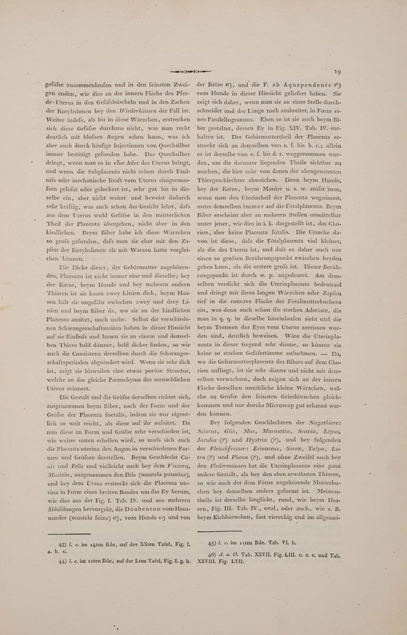de-Uterus in den Gefäfsbüscheln und in den Zacken der Kotyledonen bey den Wiederkäuern der Fall ist. Weiter: indef[s, als bis in diese Wärzchen, erstrecken sich diese Gefäfse durchaus nicht, was man recht deutlich mit blofsen Augen sehen kann, was ich aber auch durch häufige Injectionen von Quecksilber Das Quecksilber dringt, wenn man es in eine Ader des Uterus bringt, immer bestätigt gefunden habe. und wenn die Subplacenta nicht schon durch Fäul- nils oder mechanische Kraft vom Uterus einigermaa- fsen gelöfst oder gelockert ist, sehr gut bis in die- selbe ein, aber nicht weiter und beweist dadurch sehr kräftig, aus dem Uterus wohl Gefäfse in den mütterlichen was auch schon das Gesicht lehrt, dals Theil der Plazenta übergehen, nicht aber in den kindlichen. Beym Biber habe ich diese Wärzchen so grofs gefunden, dafs man sie eher mit den Za- pfen der Kotyledonen als mit Warzen hätte verglei- chen können. Die Dicke dieser, der Gebärmutter zugehören- den, Plazenta ist nicht immer eine und dieselbe; bey der Katze, beym Hunde und bey mehrern andern Thieren ist sie kaum zwey Linien dick, beym Haa- sen hält sie ungefähr zwischen zwey und drey Li- nien und beym Biber da, wo sie an der kindlichen Plazenta ansitzt, noch mehr. Selbst die verschiede- nen Schwangerschaftszeiten haben in dieser Hinsicht auf sie Einflufs und lassen sie an einem und demsel- auch die Consistenz derselben durch die Schwanger- schaftsperioden abgeändert wird. Wenn sie sehr dick ist, zeigt sie bisweilen eine etwas poröse Structur, welche an das gleiche Parenchyma des menschlichen Üterus erinnert. ‘Die Gestalt und die Gröfse derselben richtet sich, i Gröfse der Placenta foetalis, indem sie nur eigent- Da nun diese an Form und Gröfse sehr verschieden ist, lich so weit reicht, als diese auf ihr aufsitzt. wie weiter unten erhellen wird, so mufs sich auch die Placenta uterina den Augen in verschiedenen For- men und Gröfsen darstellen. Beym Geschlecht Ca- nis und Felis und vielleicht auch bey dem Ziverra, Mustela, ausgenommen den Iltis (mustela putorius), und bey dem Ursus erstreckt sich die Placenta ute- rina in Form eines breiten Bandes um das Ey herum, wie dies aus der Fig. I. Tab. IV. und aus mehrern Abbildungen hervorgeht, dieDaubenton vom Haus- marder (mustela foina) 43), vom Hunde 44) und von 43) l. c. im ı4ten Bde, auf der XXten Tafel, Fig. I. ash, 44) I. c.im ıoten Bde, auf der Lten Tafel, Fig. I. g. h. vom Hunde in dieser Hinsicht geliefert haben. Sie zeigt sich daher, wenn man sie an einer Stelle durch- schneidet und der Länge nach ausbreitet, in Form ei- nes Paralellogramms. Eben so ist sie auch beym Bi- ber gestaltet, dessen Ey in Fig. XIV. Tab. IV.-ent- halten ıst. Der Gebärmuttertheil der Plazenta er- streckt sich an demselben von e. f. bis b. c.; allein es ist derselbe von e. f. bis d. r. weggenommen wor- den, um die darunter liegenden Theile sichtbar zu machen, die hier sehr von denen der ebengenannten Thiergeschlechter abweichen. Denn beym Hunde, bey der Katze, beym Marder u. s. w. stölst 'man, wenn man den Uterintheil der Plazenta wegnimmt, unter demselben immer auf die Fötalplazenta. Beym Biber erscheint aber an mehrern Stellen unmittelbar unter jener, wie diesini.k. dargestellt ist, das Cho- rion, aber keine Placenta fötalis. Die Ursache da- von ist diese, dafs die Fötalplazenta viel kleiner, als die des Uterus ist, und dafs es daher auch nur einen so grofsen Berührungspunkt zwischen beyden geben kann, als die erstere grols ist. Dieser Berüh- rungspunkt ist durch o. p. angedeutet. Am dem- selben verdickt sich die Uterinplacenta bedeutend und dringt mit ihren langen Wärzchen oder Zapfen tief in die concave Fläche des Fötalmutterkuchens ein, was denn auch schon die starken Aderäste, die man in q. g. in dieselbe hineinlaufen sieht und die beym Trennen des Eyes vom Üterus zerrissen wor- den sind, deutlich beweisen. Wäre die Üterinpla- zenta in dieser Gegend schr dünne, so könnte sie keine so starken Gefälsstämme aufnehmen. — Da, wo die Gebärmutterplazenta des Bibers auf dem Cho- rion aufliegt, ist sie sehr dünne und nicht mit dem- selben verwachsen, doch zeigen sich an der innern Fläche desselben unzähliche kleine Wärzchen, wel- che an Gröfse den feinsten Grieskörnchen gleich- kommen und nur durchs Microscop gut erkannt wer- den können. Bey folgenden Geschlechtern der Nagethiere: Glis, Mus, Marınotta, Lepus, Jaculus (#) und Hystrix (f), und bey folgenden der Fleischfresser: Erinaceus, Sorex, Talpa, Lu- Sciurus, Scavia, tra (?) und Phoca (?), und ohne Zweifel auch bey den Fledermäusen hat die Uterinplazenta eine ganz > andere Gestalt, als bey den eben erwähnten Thieren, so wie auch der dem Fötus zugehörende Mutterku- chen bey denselben anders geformt ist. Meisten- theils ist derselbe länglicht, rund, wie beym Haa- sen, Fig. UI. Tab. IV., oval, oder auch, wie z. B. beym Eichhörnchen, fast viereckig und im allsemei- 45) I. c.im ııten Bde. Tab. VI. b. 46) A. a. O. Tab. XXVII. Fig. LIM. c. c. ce. und Tab. XXVIIL, Fig. LVI. | | ren,